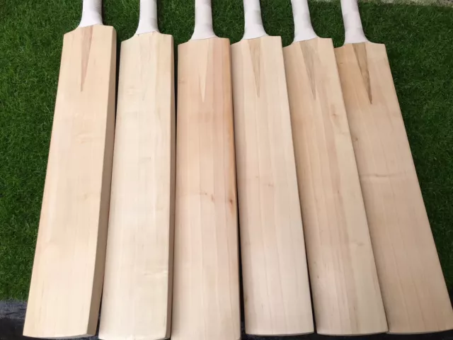 English Willow Cricket Bat