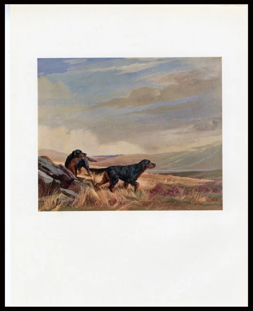 GORDON SETTER RARE OLD ANTIQUE BOOKPLATE DOG PRINT Artist REUBEN WARD BINKS