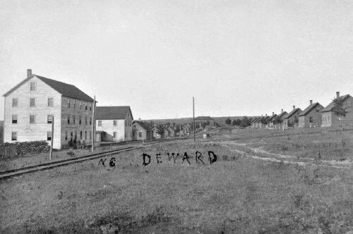 Street View Railroad Tracks Deward Michigan MI Reprint Postcard