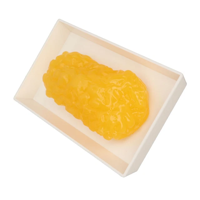 Human Body Fat Replica 1lb Authentic Anatomical Human Fatty Tissue