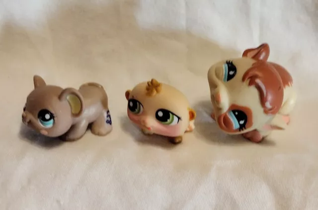 3 Littlest Pet Shop Hamster, Guinea Pig, Mouse  Lot