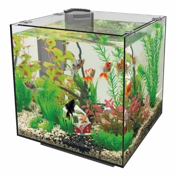 Superfish Qubiq 30 Aquarium Integrated Filter Nano Fish Tank Optional LED Light 2