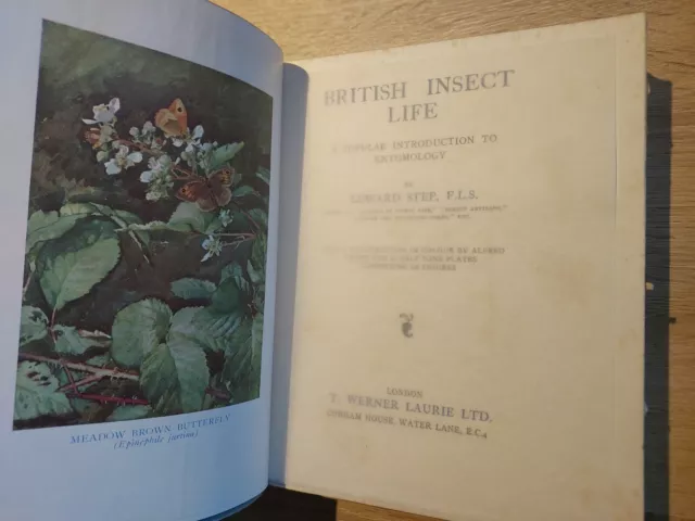 Rare British Insect Life Edward Step F.L.S 1929 Entomo Illustrated Antique Book