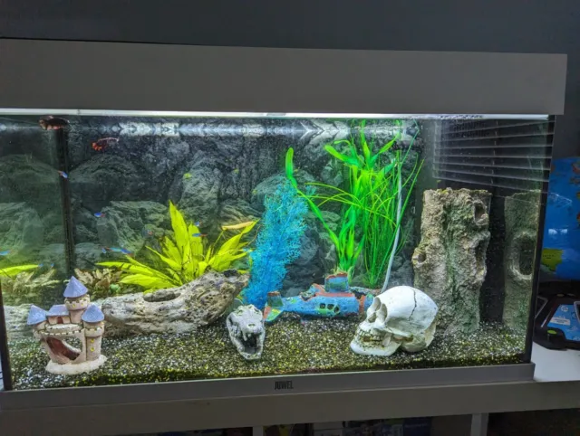 Juwel Rio fish tank 125 LED with ornaments and Algae Killing machine