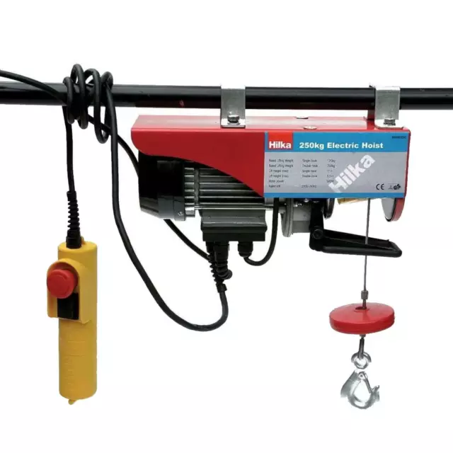 Scaffold Winch Electric Workshop Garage Gantry Hoist Lifting 250KG