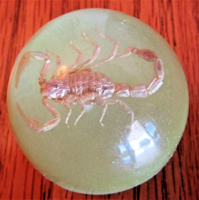 2 Scorpion Insects in Lucite/Acrylic Dome Paperweight 1 3/4", Light Green