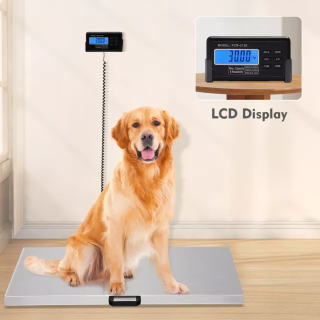 Digital Stainless Steel Pet Scale Livestock Vet Platform Scale Hog Dog Pig Sheep