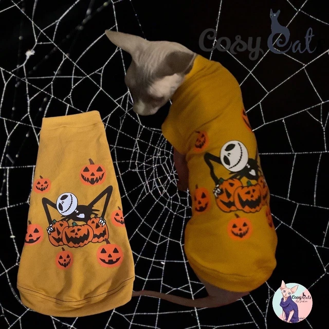 Maglietti per gatti Halloween, maglioni Sphynx, maglioni Sphynx, maglioni per gatti