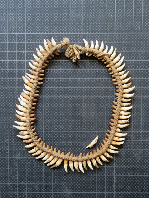 Tierzahn-Kette, Flughund (Flying Fox), Sepik River, Papua-Neuguinea, no 2