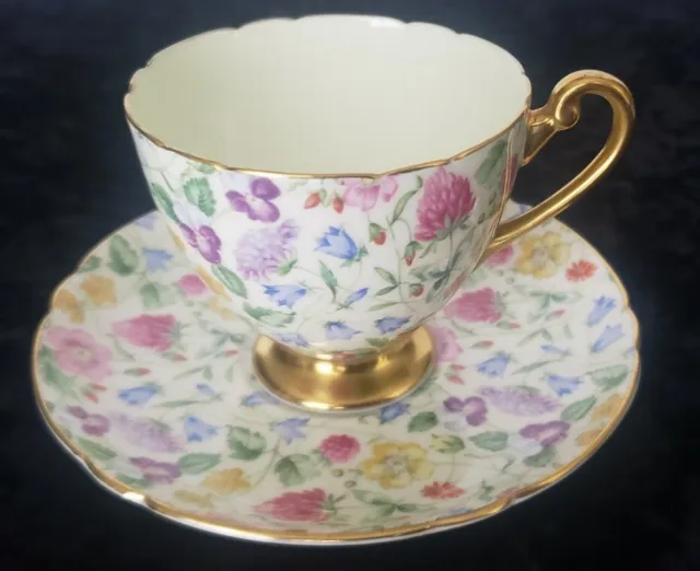 Shelley COUNTRYSIDE Footed Tea Cup & Saucer Ribbon Shape Gold Trim Bone China