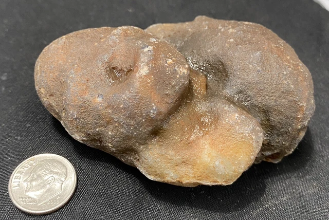 Rare Rough Botswana Agate whole nodule “THE SNUGGLING SLUGS” 7.4 Ounces B4