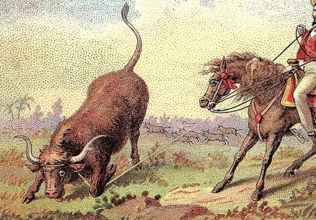 1880s Clark's Bull Mile-End Thread Trade Cotton Spool Card Cowboy Roping