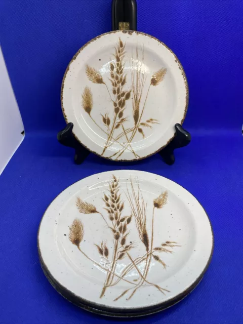 Stonehenge Midwinter Wild Oats 7" Salad Plates Made In England Lot 3 2