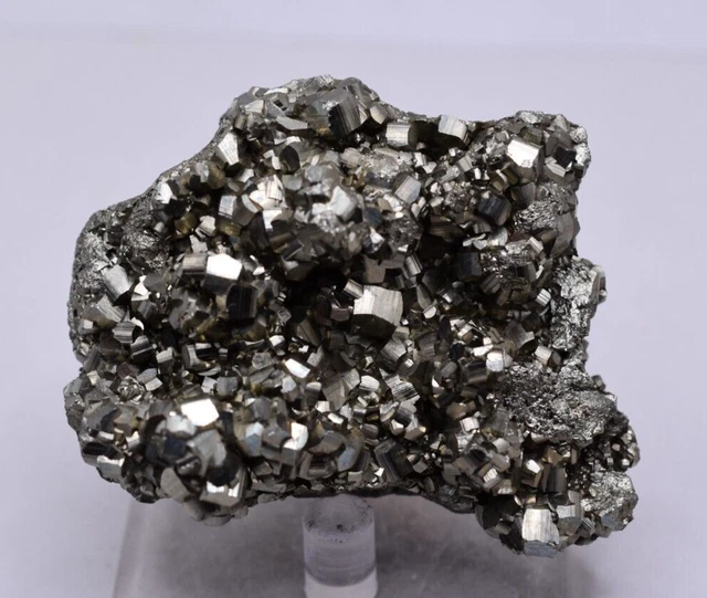 Pyrite - Eagle Mine, Gilman, Colorado