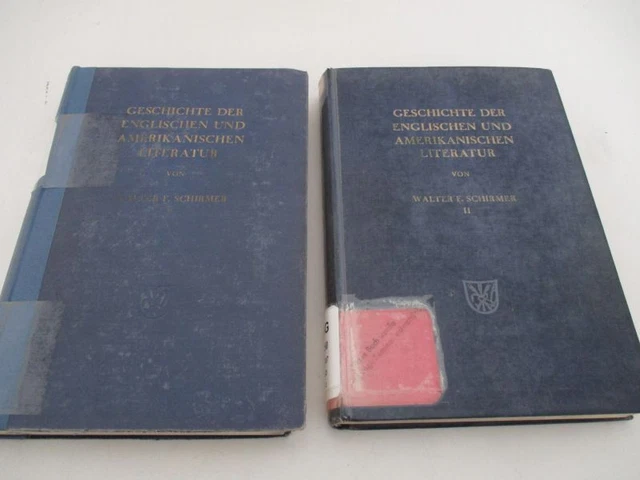 Geschichte der englischen und amerikanischen Literatur von den Anfängen bis zur
