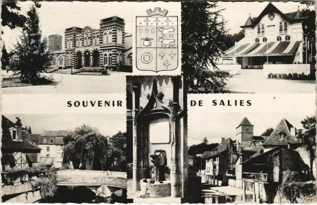 CPA AK Salies de Bearn Souvenir de Salies FRANCE (1131016)