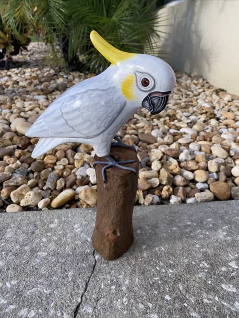 Parrot On Driftwood Base  Hand Carved Wood Tropical Sculpture Bird Decor Tiki