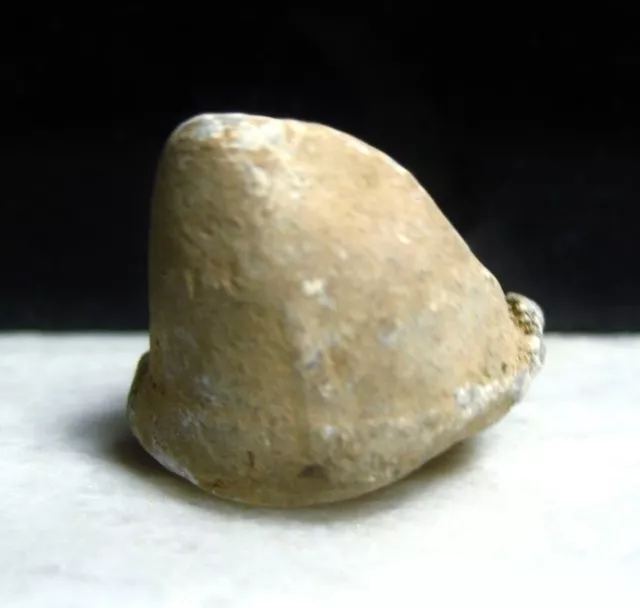 Civil War Relic Dug at The Battle of Spotsylvania Fired High-Impact .69 Bullet