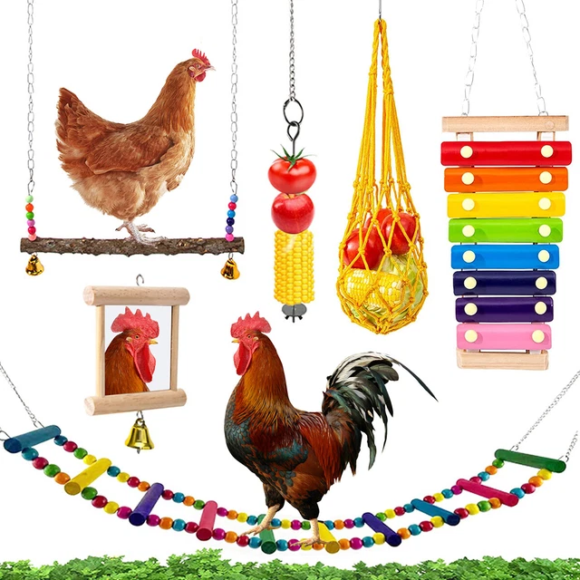 6Pcs Parrot Birds Playing Training Toys Chicken Toys Set Chicken Stand Swing toy