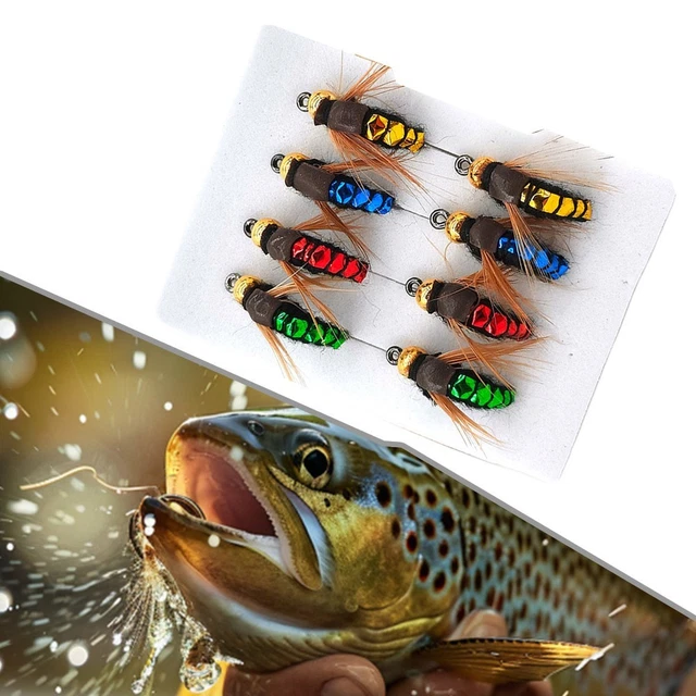 Queue de faisan Pêche mouches Nymphe colorées Sélection 16 mouches pour