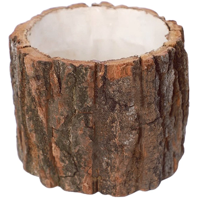 Haofy Vasi Per Succulente In Legno – Fioriera A Forma Di Cactus, Micro Paesaggio, 18,9x13x6 Cm