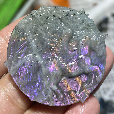 Top！AA+Natural Purple Labradorite Hand Carved Pegasus Quartz Crystal Healing 1PC