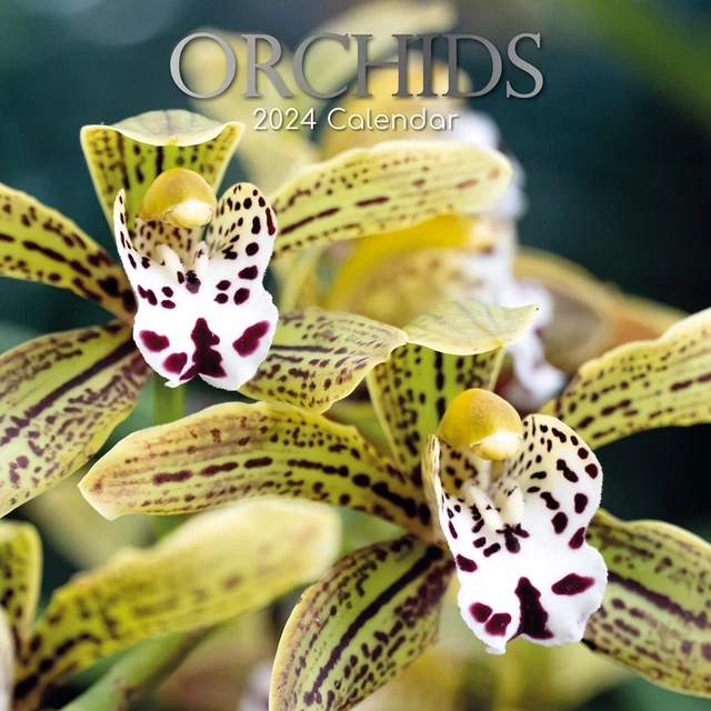ORCHIDS 2024 SQUARE Wall Calendar 16Month Floral Planner Christmas New
