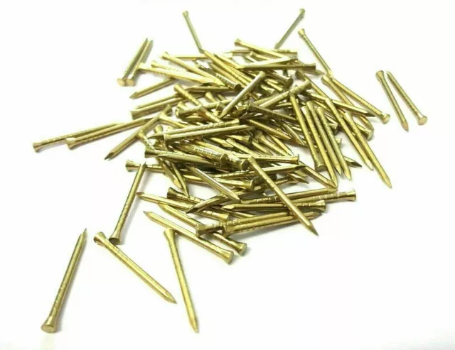 PANEL PINS 20mm,25mm,30mm,40mm & 50mm CHOOSE SOLID BRASS OR STAINLESS STEEL