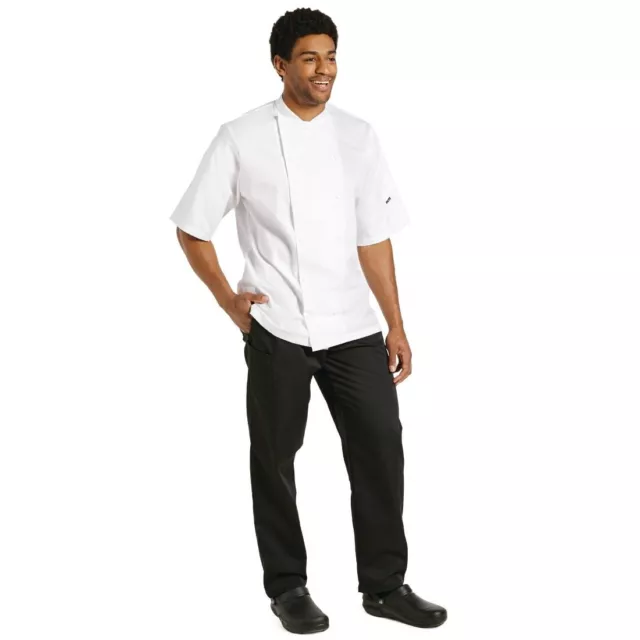 Le Chef Staycool Short Sleeve Jacket White Xl B240-Xl