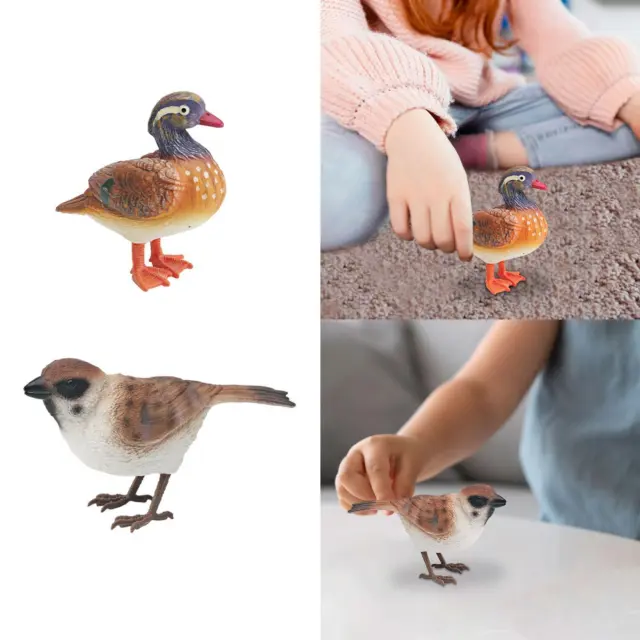 Figurine d'oiseau réaliste, figurines d'animaux, décoration de maison pour