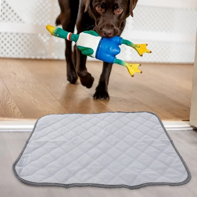 Käfig Tiere Frettchen Käfig Liner Bunny Bettwäsche Für Ausbildung Hause 8
