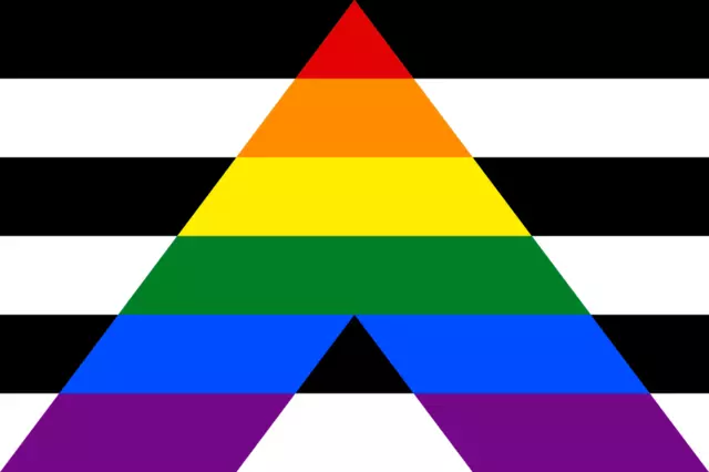 Straight Ally 5ft x 3ft Flag Gay Pride Rainbow Festival Flags LGBT Equality