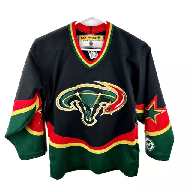 A Dallas Stars retro concept based on the famous/infamous Mooterus Jersey :  r/hockeydesign