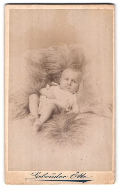Fotografie Gebrüder Otto, Oranienburg, Berliner-Strasse 15, Portrait süßes Klei