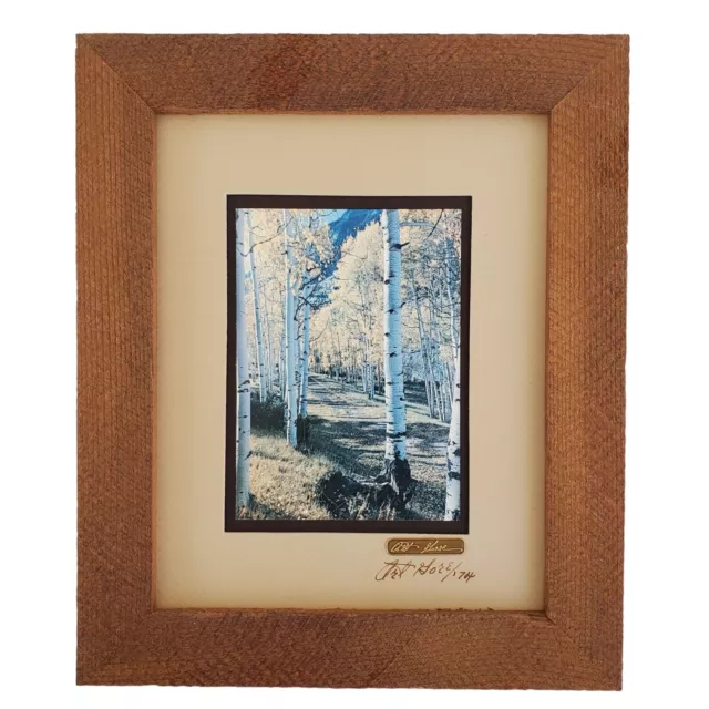 Vintage Art Gore Photography Marble Trail Framed Original Artwork Rustic Scenery