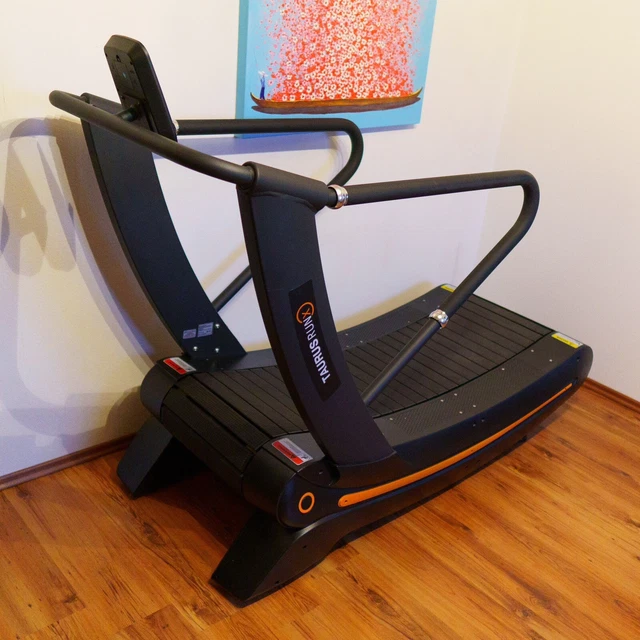 TAURUS RUN X TreadMill Laufband wird nur mit Muskelkraft Betrieben EUR 1.750 00 PicClick DE
