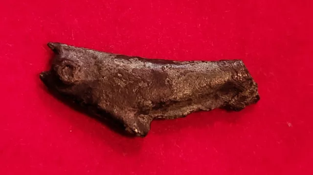 Ancient Sarmatia, Olbia. 5th BC. Bronze, Cast Dolphin money