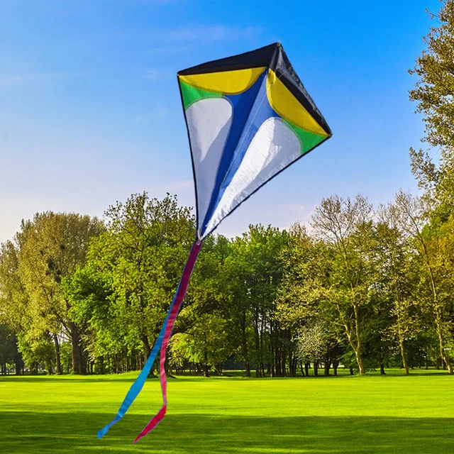 Large Single Line Black SHARK Kite Easy Fly For Kids & Adults Beach Activity Toy