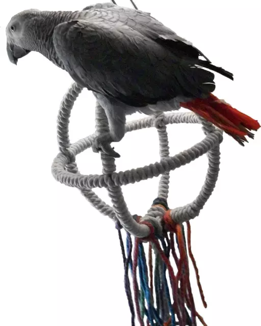 Medium  Parrot Orbit Swing Toys Perches