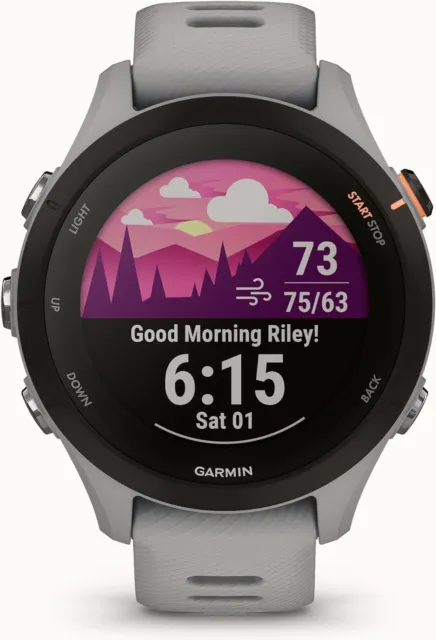Garmin Forerunner 255 Gray GPS Running Smartwatch.