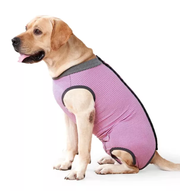 Dog Recovery Suit, Dog Surgery Bodysuit, Surgical Vest