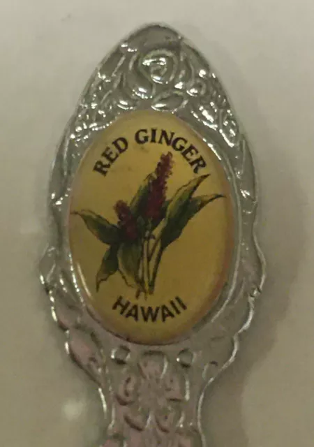 Red Ginger Hawaii Flower Flowers Vintage Souvenir Spoon Collectible