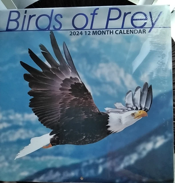 BIRDS OF PREY 12 Month Calendar 2024 Brand New 11.25 PicClick