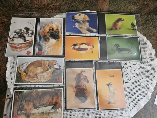 Lotto di 37 Cartoline Cani e Gatti