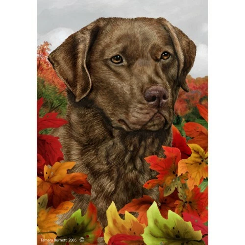 Fall Garden Flag (TB) - Chesapeake Bay Retriever 130701