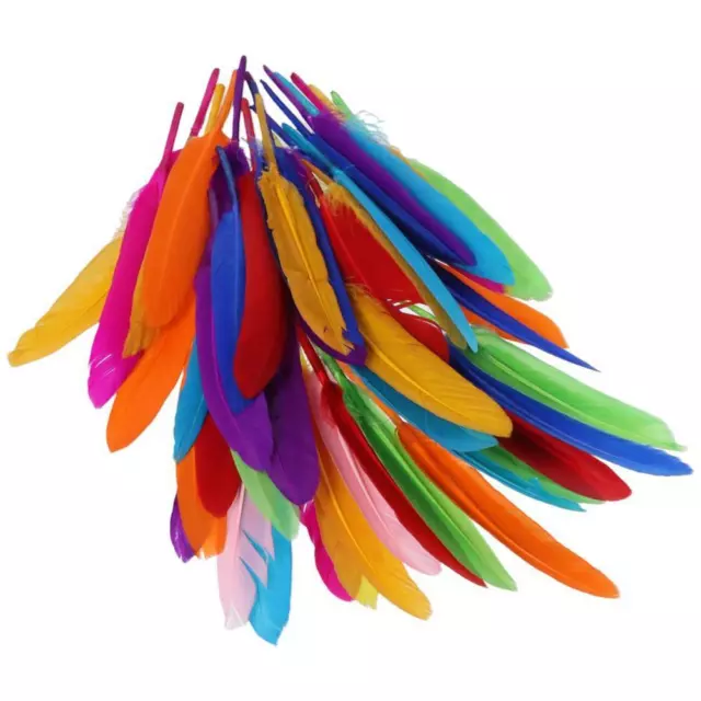200Pcs Feathers Feathers Mixed-Colors Feather Feathers for Crafting  for Crafts