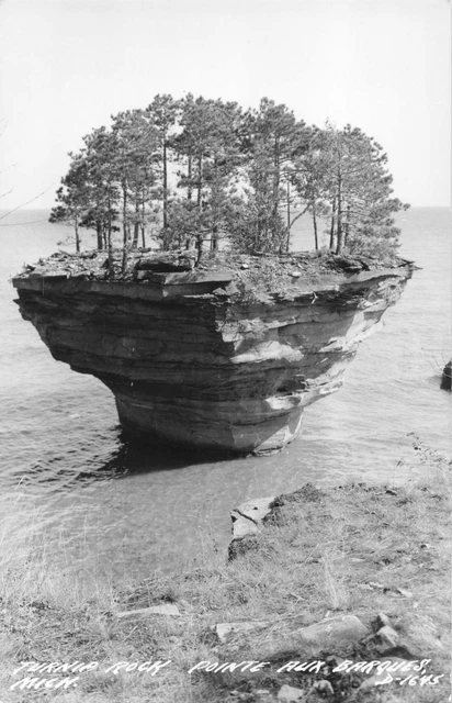 CEN Point Aux Barques Port Austin MI RPPC Lake Huron MOTHER NATURES Shoreline! 8