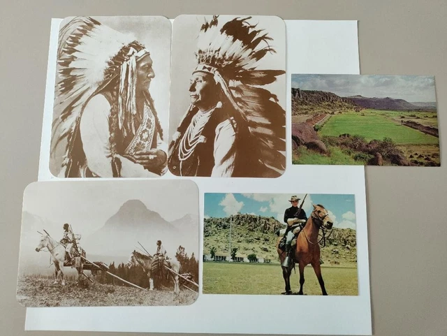 Lot Of 5 Postcards From Texas Fort Davis Indian Chief’s