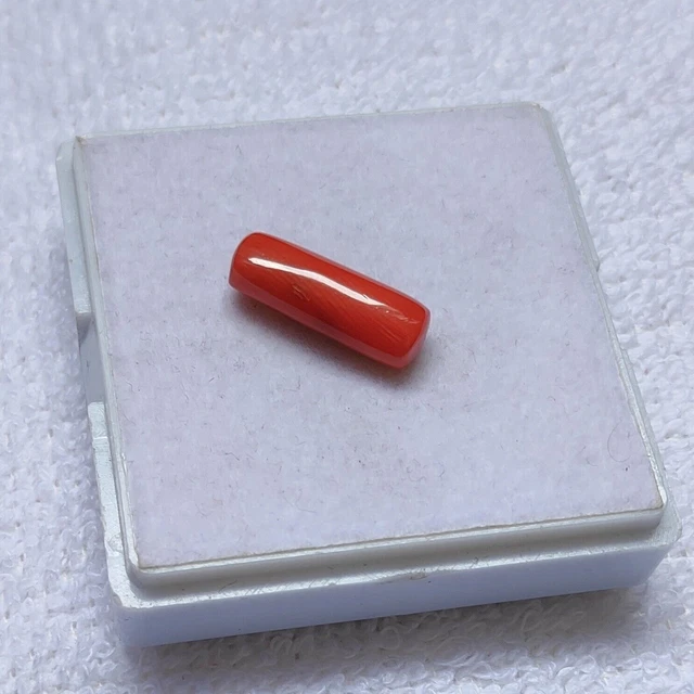 Cabochon de corail italien naturel de qualité AAA+, pierres précieuses en...