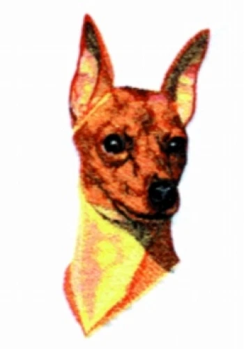 Embroidered Ladies T-Shirt - Miniature Pinscher BT3992
